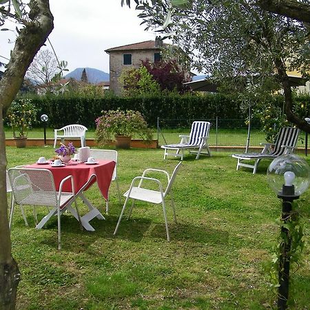 Triolivo B&B Lucca Exteriér fotografie