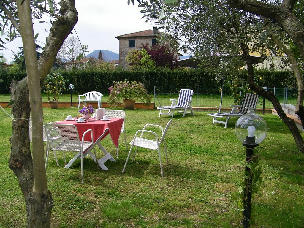 Triolivo B&B Lucca Exteriér fotografie