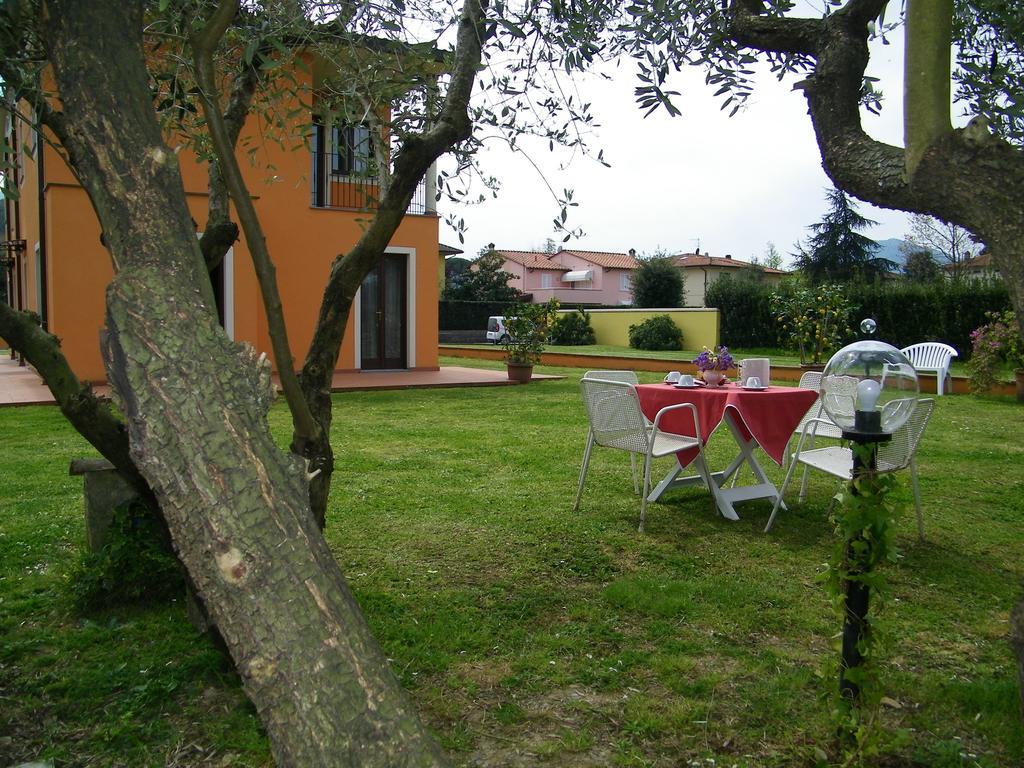 Triolivo B&B Lucca Exteriér fotografie