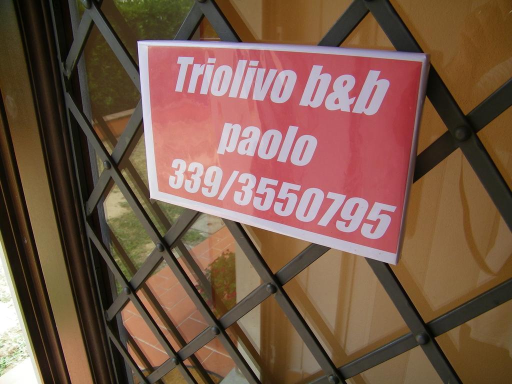 Triolivo B&B Lucca Exteriér fotografie